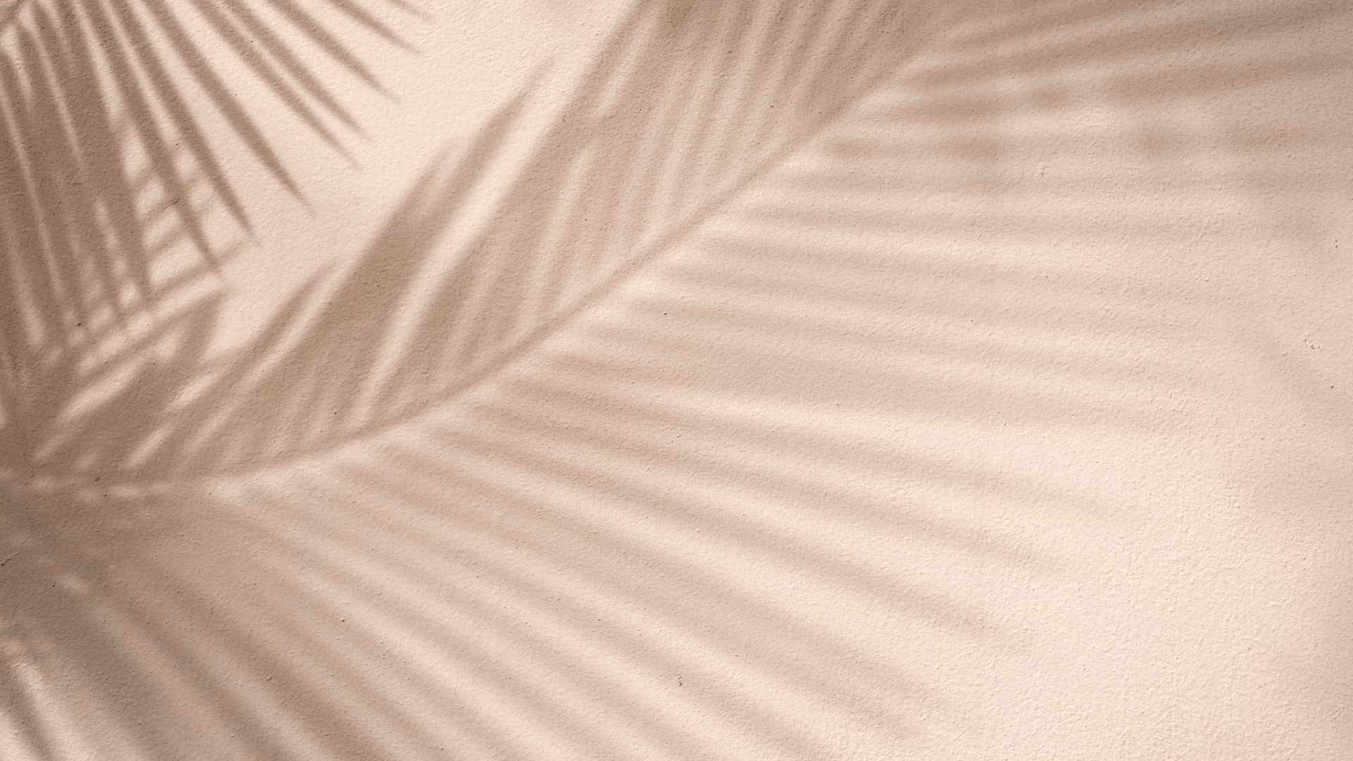 新着情報